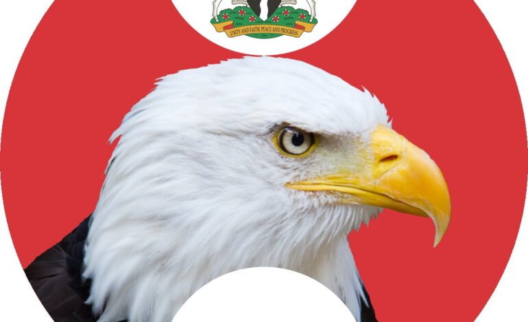 Osun: Why we didn’t freeze Ekiti govt accounts – EFCC