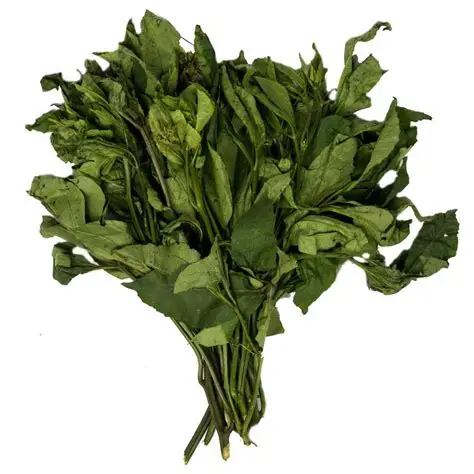 Why Nigerians should stop cutting vegetables in markets — Nutritionists
