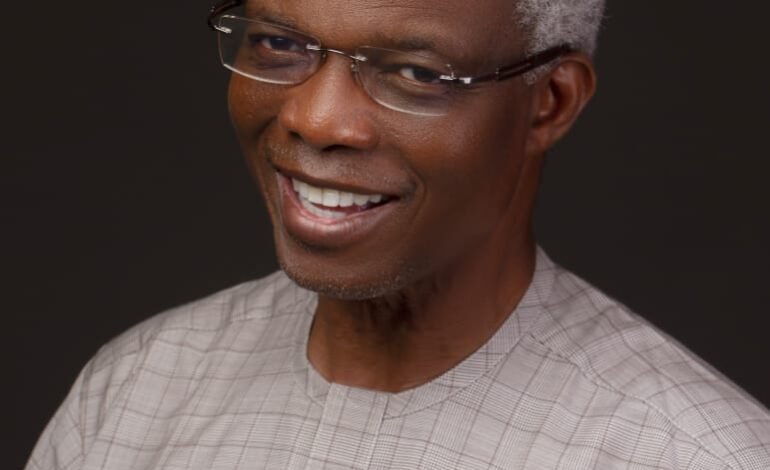 Cadbury Nigeria Board Names Salami As New Chairman