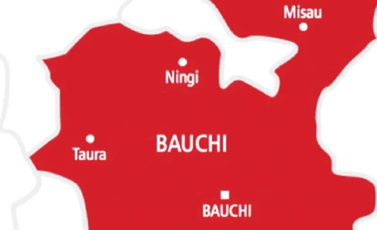 Stepmother, 19-year-old arrested over Bauchi children’s deaths