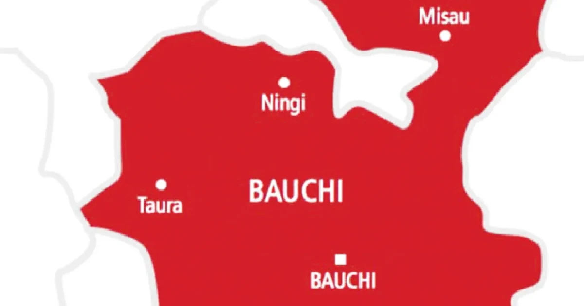 Stepmother, 19-year-old arrested over Bauchi children’s deaths